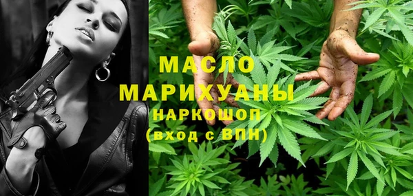шишки Корсаков