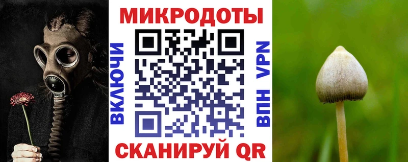 Псилоцибиновые грибы Psilocybine cubensis  цены наркотик  Дыгулыбгей 